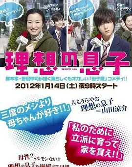 理想的儿子(2012)