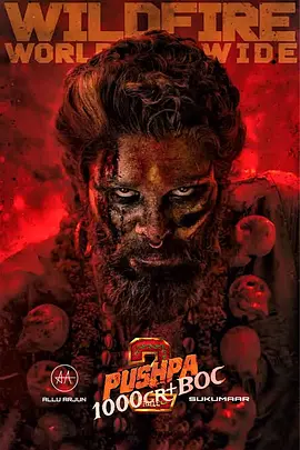 普什帕：裁决(2024)