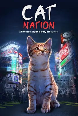 猫咪国度(2017)