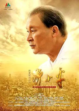 历史转折中的邓小平(2014)