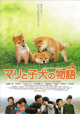 爱犬的奇迹(2007)