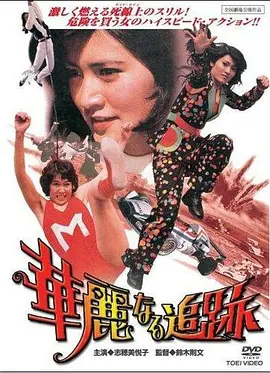 华丽的追踪(1975)