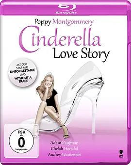 完美的谎言(2010)