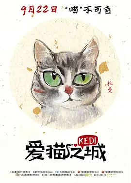 爱猫之城(2016)
