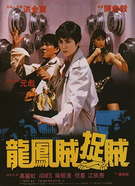 龙凤贼捉贼(1990)