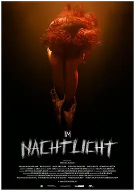Im Nachtlicht(2021)