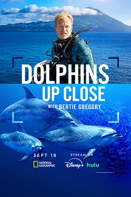 摄影师贝尔蒂与海豚零距离(2025)