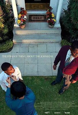 约翰逊一家的怪事(2011)
