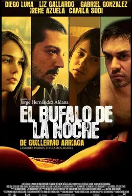 夜间的水牛(2007)