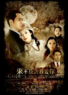 来不及说我爱你(2010)