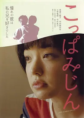 木叶微尘(2014)