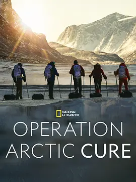Operation Arctic Cure(2024)