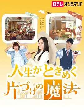 怦然心动的人生整理魔法(2013)