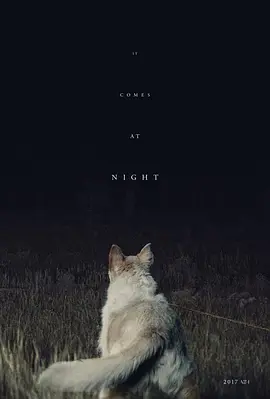 黑夜造访(2017)