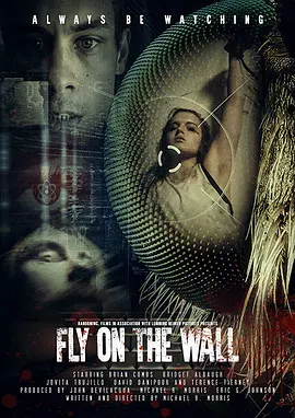 Fly on the Wall(2017)