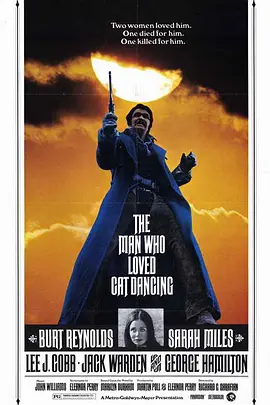 骚妇与大贼(1973)