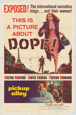 国际特警队(1957)