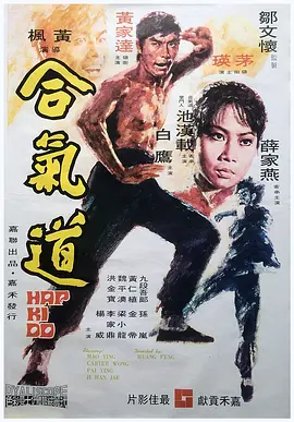 合气道(1972)