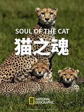 猫之魂(2017)