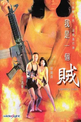 我是一个贼(1995)
