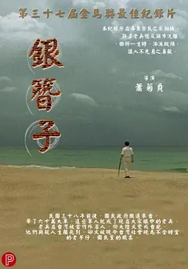 银簪子(2001)