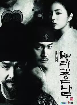树大根深(2011)