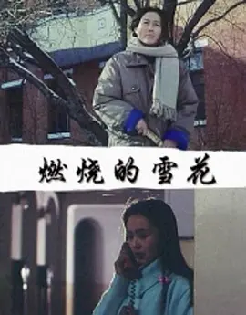 燃烧的雪花(1993)