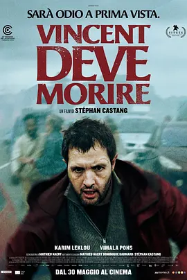 文森特必须死(2023)