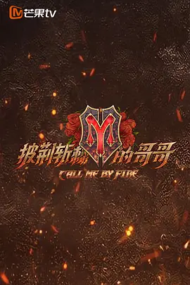 披荆斩棘的哥哥(2021)