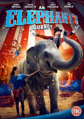 拯救芙洛拉(2019)