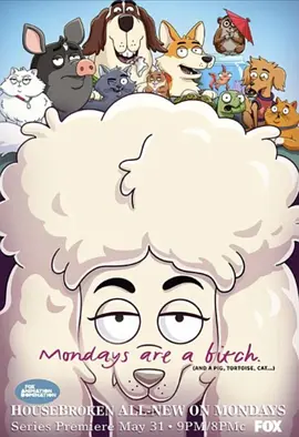 宠宝话疗团(2021 - 2023)