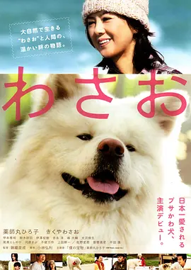 秋田犬蓬夫(2011)