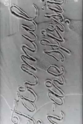 无尽的海岸线(1962)