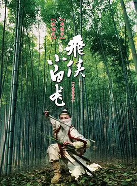 飞侠小白龙(2004)
