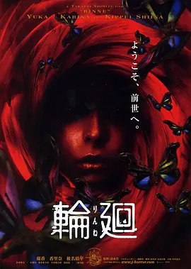 轮回(2005)
