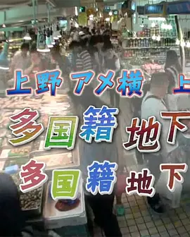 纪实72小时：多国籍地下市场(2014)