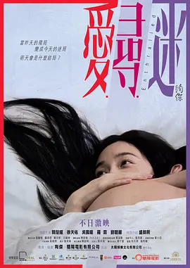 爱寻迷(2014)
