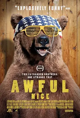 可怕的尼斯(2013)