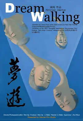 梦游(2006)