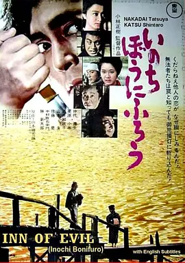 在我冒险的日子(1971)