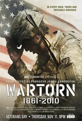 Wartorn: 1861-2010(2010)