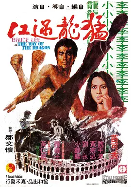 猛龙过江(1972)