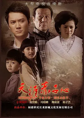 天涯赤子心(2010)