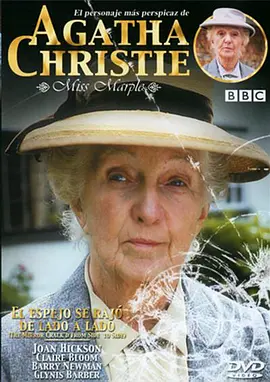 破镜谋杀案(1992)