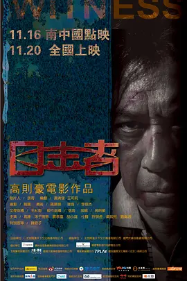 目击者(2012)