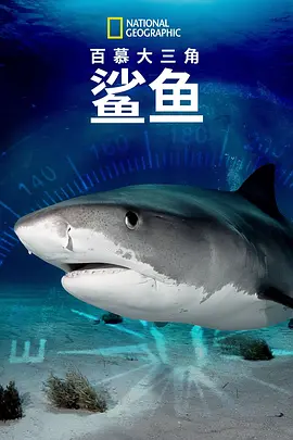 百慕大三角：鲨鱼(2020)