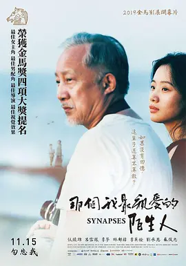 那个我最亲爱的陌生人(2019)