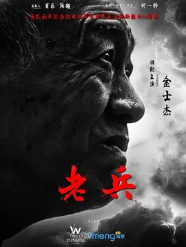 老兵(2015)