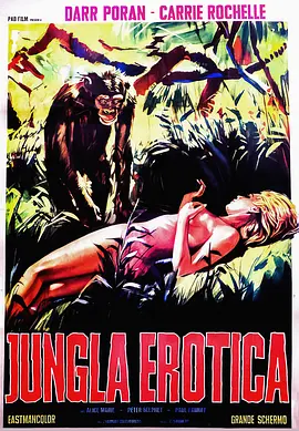 非洲浪漫冒险(1971)