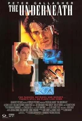 危险狂爱(1995)